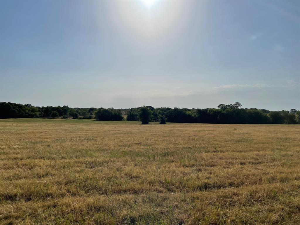 W Crabtree Abst - Land