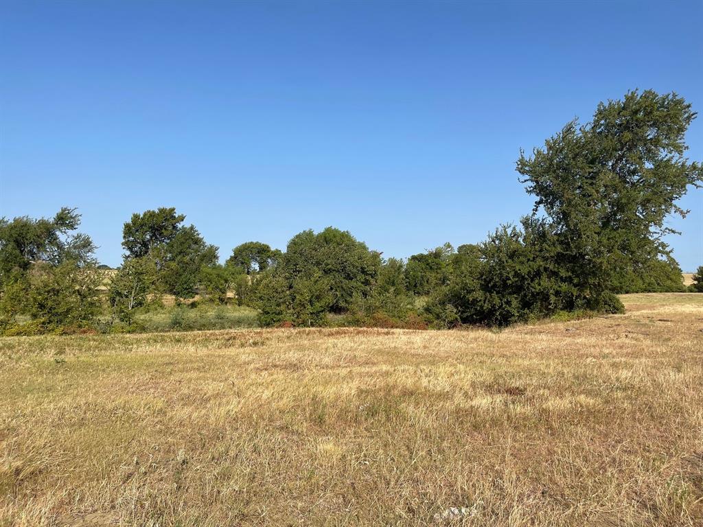 W Crabtree Abst - Land