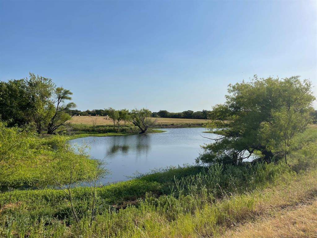 W Crabtree Abst - Land