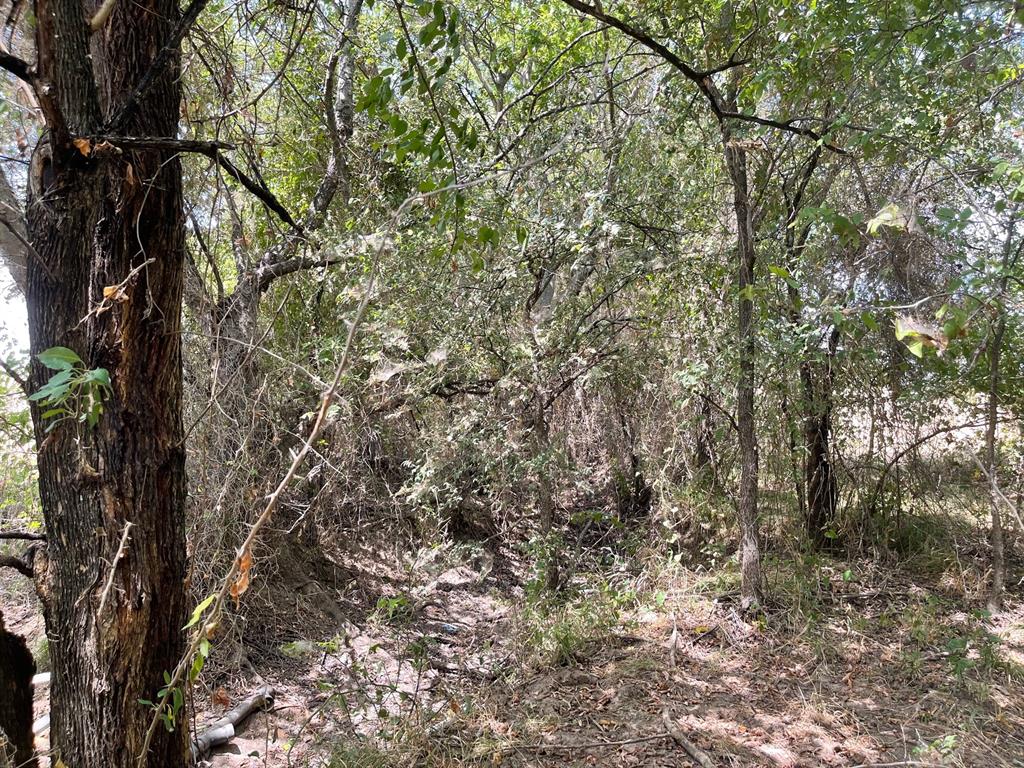 W Crabtree Abst - Land