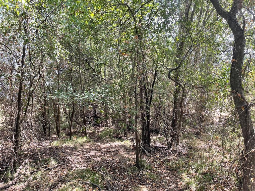 W Crabtree Abst - Land