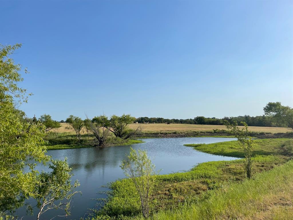 W Crabtree Abst - Land