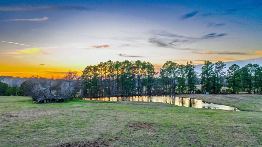 Escape to nature's embrace with this stunning 316.65 acre cattle ranch privately nestled just outside of Carthage in Deberry, Texas. Boasting picturesque landscapes and abundant wildlife, this property offers a serene sanctuary for outdoor enthusiasts and ranchers alike. The property mix is roughly 55 45 ratio of timber to pasture. Two mature ponds filled with fish and a live creek providing not only a scenic backdrop but also practical functionality for agricultural endeavors.


The roughly 182 acres of mature hardwood and pine timber that blankets the ranch not only enhances its natural beauty but also presents valuable timber harvesting opportunities for the savvy investor. For hunting enthusiasts, this property is a dream come true. Teeming with diverse wildlife including deer, hog, duck and more, the ranch provides excellent hunting opportunities year-round, making it a hunter's paradise. The established and maintained trail network make it easy to enjoy all of this beautiful property.


Whether you're seeking a productive cattle ranch, a serene retreat, or a prime hunting destination, this 316.65-acre haven in Deberry, Texas, offers limitless possibilities to create your own slice of paradise. This property has been controlled by the same family going back to 1835. The original land grant was signed and wax sealed by Anson Jones, the last president of the Republic of Texas.

The information contained herein is deemed reliable but is not warranted or guaranteed by the Broker or Seller. The Broker (Whitetail Properties) does not assume liability for typographical errors, misprints, nor for misinformation that may have been given to us. All property is subject to change, withdrawal, or prior sale. Buyers' agents must be identified on the first contact with the Broker and must accompany the buyer on showings to receive full fee participation.