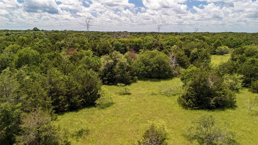 Seller Finance is available. This 10-acre tract of land, ideally situated just 10 minutes south of Wortham and a mere 20 minutes from Corsicana offers the ultimate blend of convenience yet is close to several stunning lakes and the city!  It is one of several that are currently available. With no deed restrictions, a new 4-inch water line and water tap fees have been paid, saving you thousands, the possibilities are endless—whether you're envisioning a large homestead, a weekend retreat, or an investment opportunity. The lush, green landscape is a blank canvas awaiting your vision. The mature trees provide a picturesque backdrop, while the open spaces offer ample room for building, farming, or recreational activities. Enjoy the peace of rural living without sacrificing accessibility to nearby towns and amenities. Photos are of the entire property.