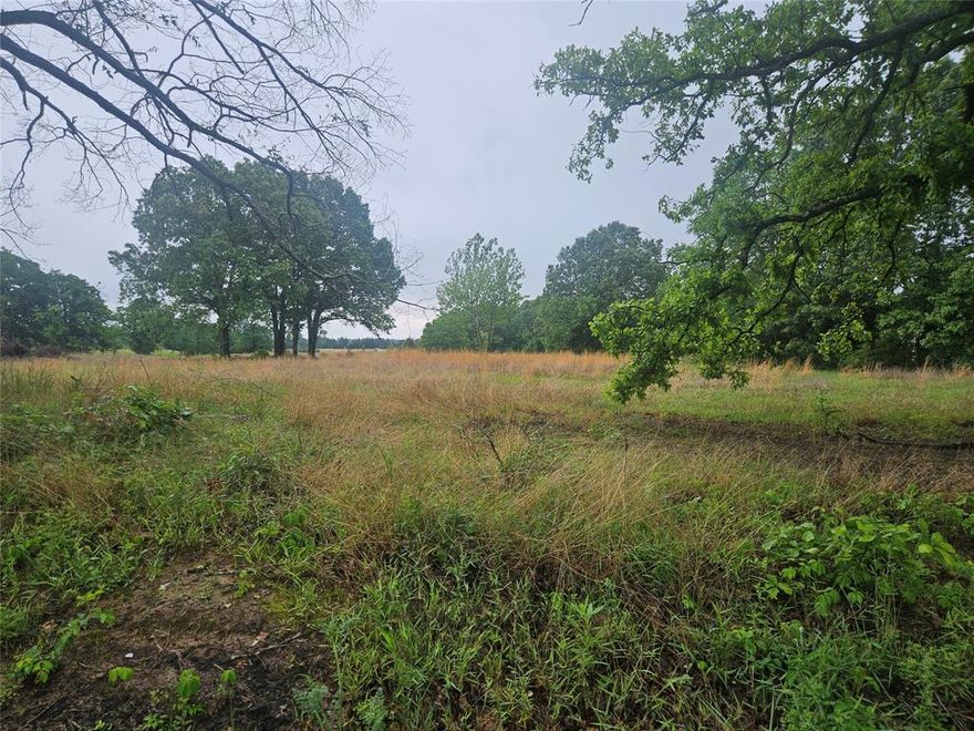 Beautiful 3 acre tract located north of Paris offers the perfect blend of open pasture and mature trees.  The land is mostly open and level, making it ideal for building your dream home, a barndominium or a weekend getaway.  The natural tree line along the edges adds character and a sense of seclusion while the open pasture gives you plenty of usable space!  With easy access off a county road and plenty of room to spread out, this property offers endless possibilities.  With no known restrictions, you also have the flexibility to use the property how you choose!