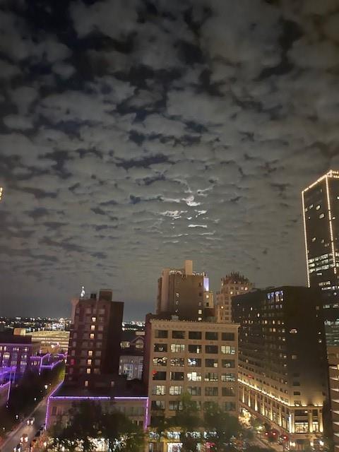 Tower Residential II Condo - Residential