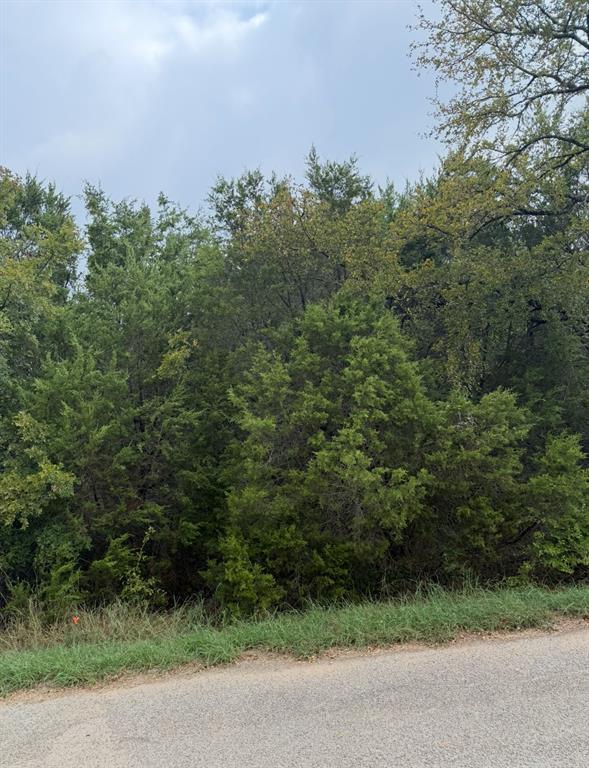 2509 White Oak Trail