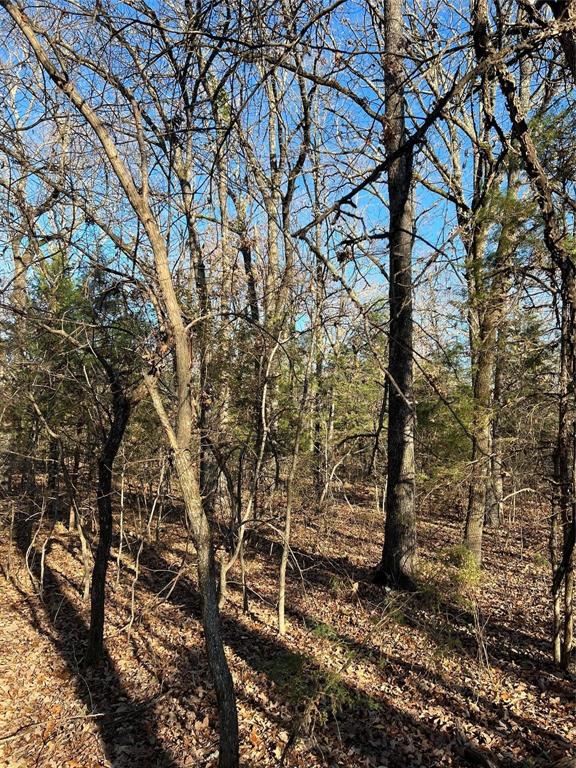 TBD County Road 2415