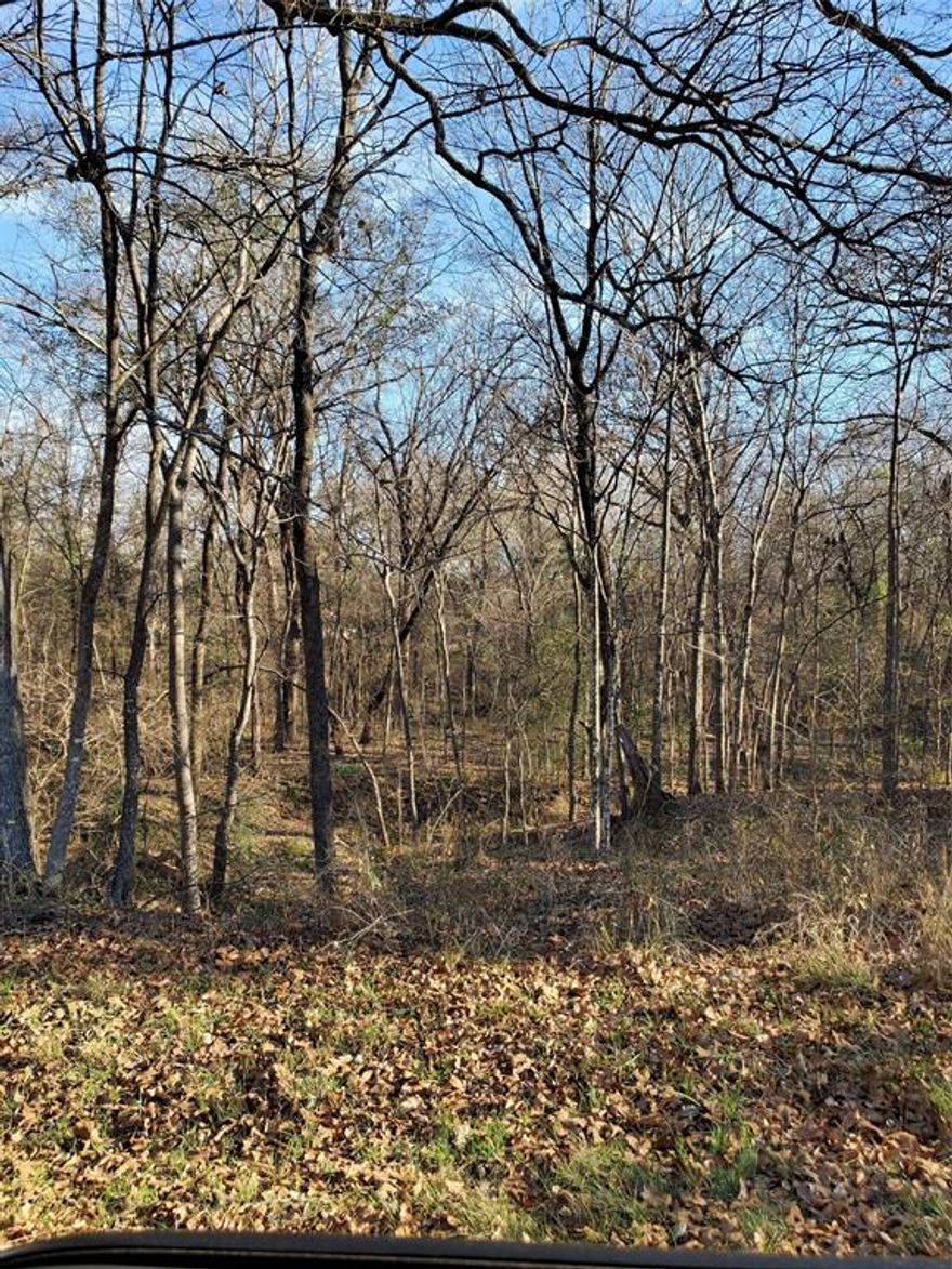 Beautiful wooded building site in waterfront neighborhood. Neighborhood has clubhouse and boat launch. 5 contiguous lots.