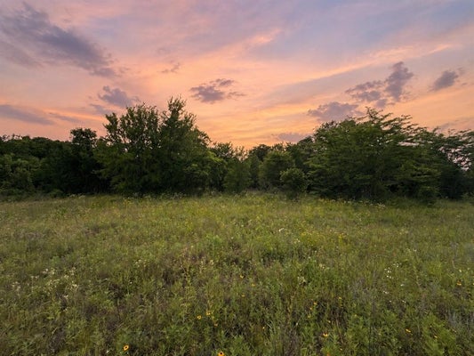 316 COUNTY ROAD 458, DE LEON, TX 76444 - Image 4b82e8e3dc64bcb0b6fd8586d0bb245a/2997170513
