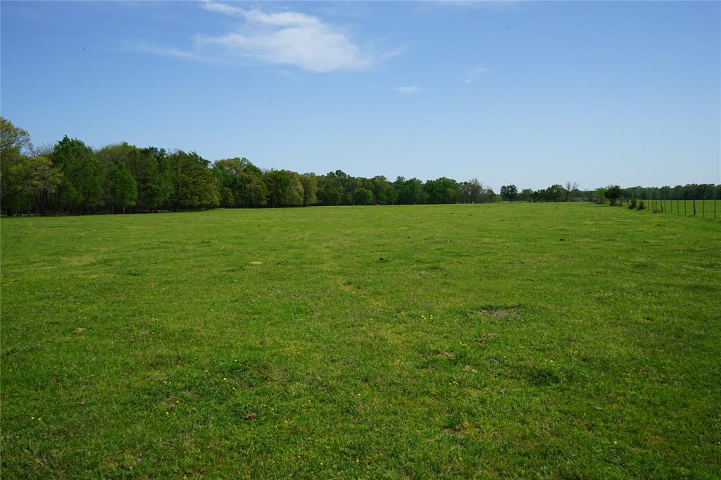 000000 County Rd. 2356