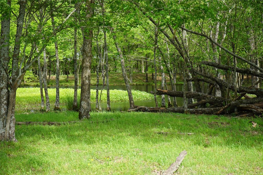 000000 County Rd. 2356