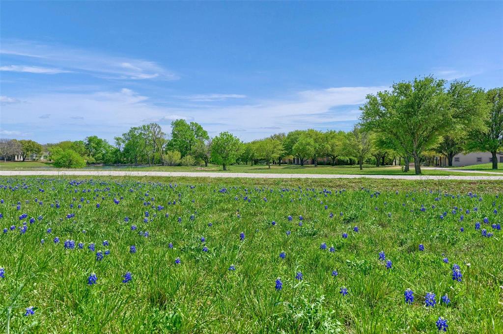 William Butler Surv Abs #112 - Residential