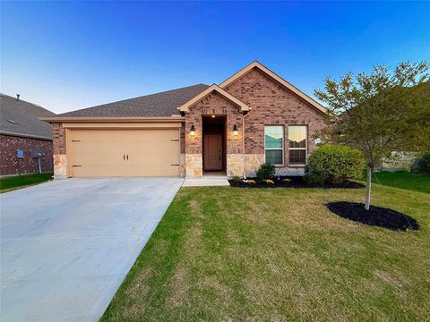 Photo of 11008 Summer Rain Boulevard, Aubrey, TX 76227 (MLS # 21089867)