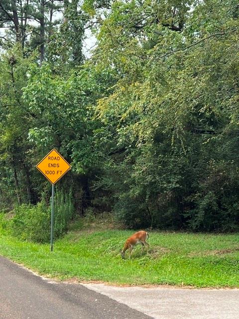 Wildlakes Villages - Residential