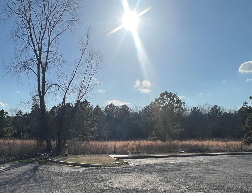 This Commercial Land, 2.529 Acres, Is Located Off The Pines Rd In Huntington Park!! Minerals Are Included!