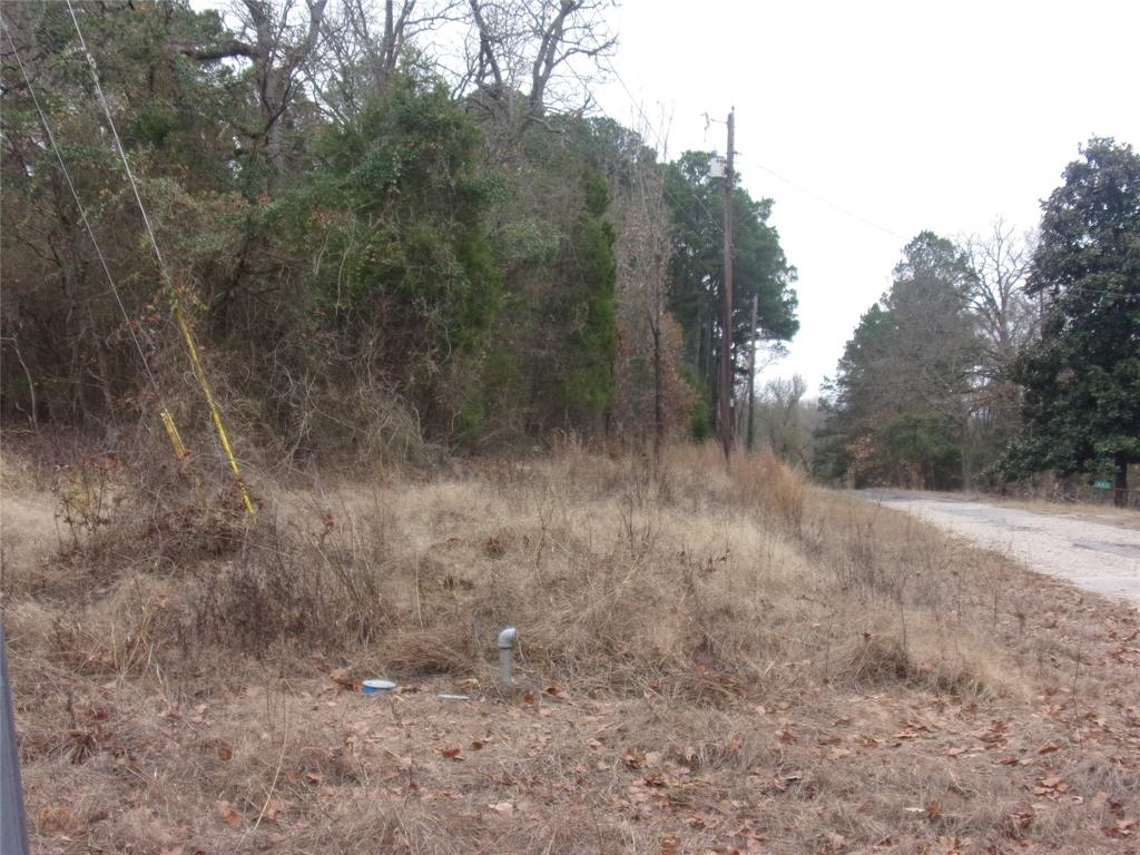 Callender Lake Xi - Land