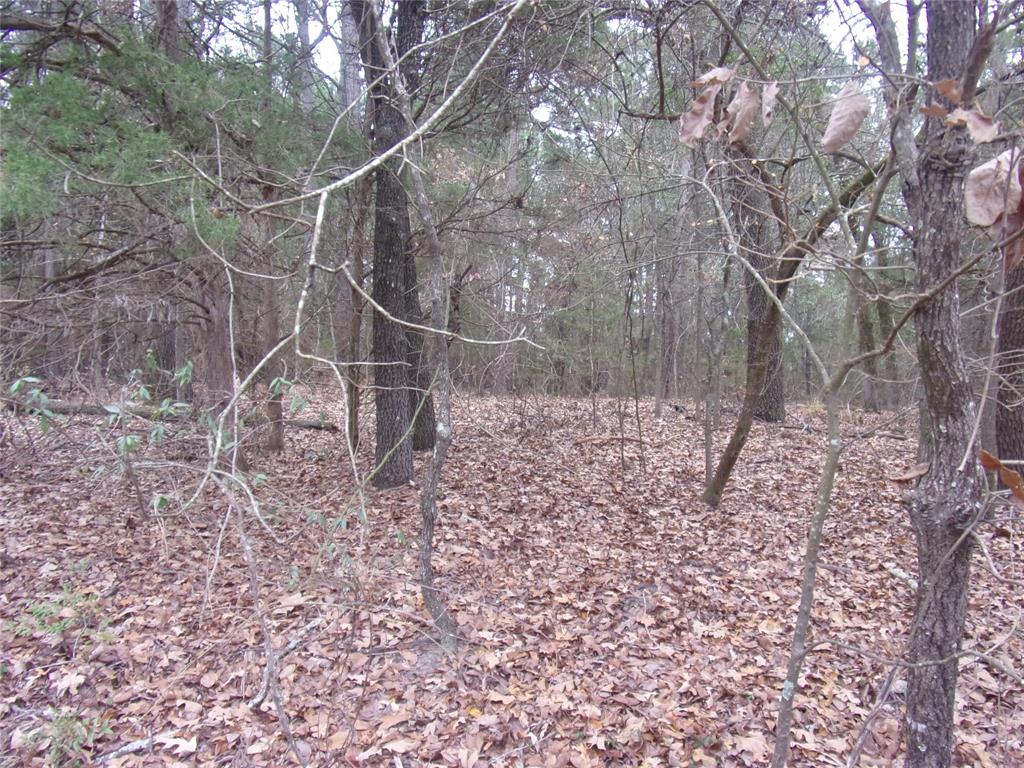 Callender Lake Xi - Land