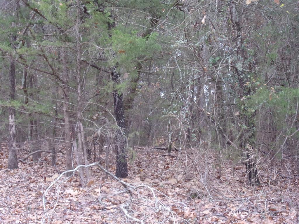 Callender Lake Xi - Land