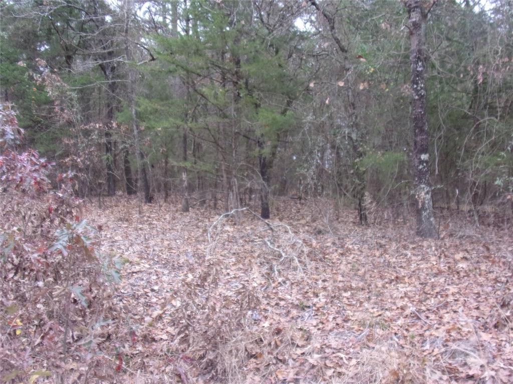 Callender Lake Xi - Land