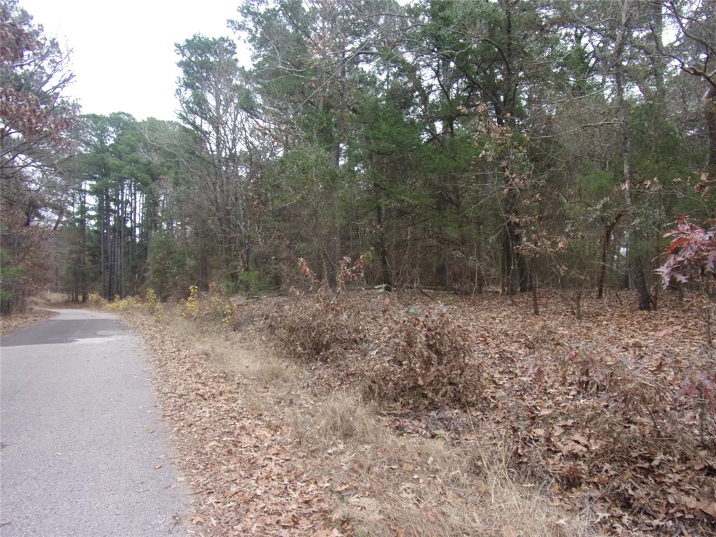 Callender Lake Xi - Land