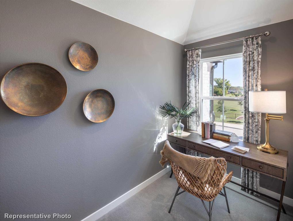 Trinity Falls: Townhomes - 22ft. lots - Residential