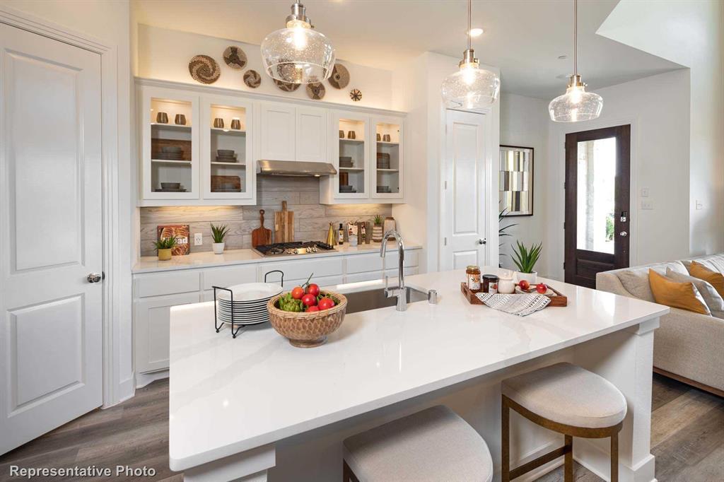 Trinity Falls: Townhomes - 22ft. lots - Residential