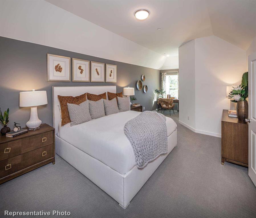 Trinity Falls: Townhomes - 22ft. lots - Residential