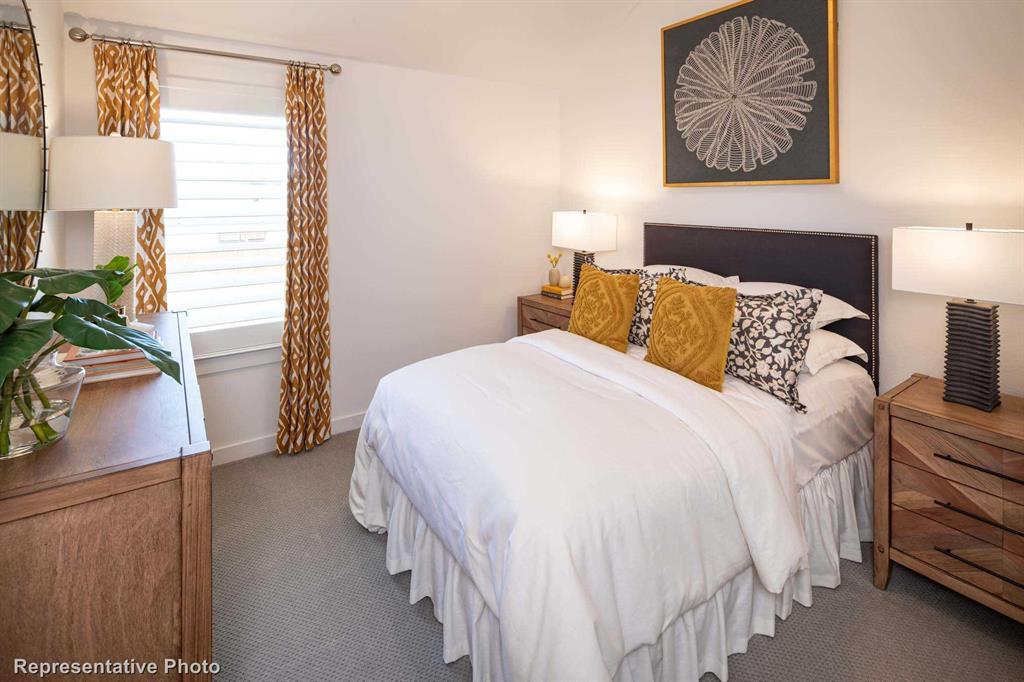 Trinity Falls: Townhomes - 22ft. lots - Residential