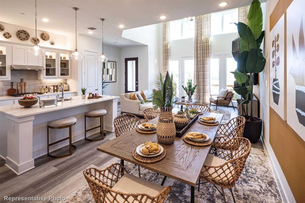 Trinity Falls: Townhomes - 22ft. lots - Residential