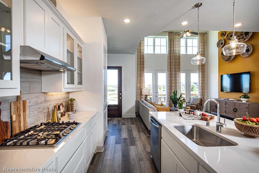 Trinity Falls: Townhomes - 22ft. lots - Residential