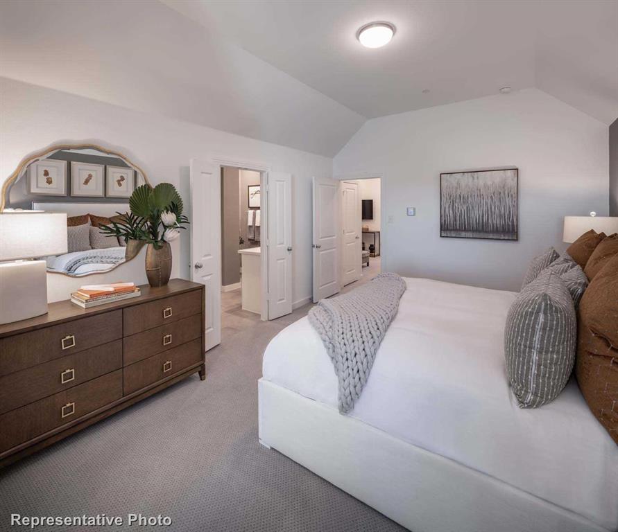 Trinity Falls: Townhomes - 22ft. lots - Residential