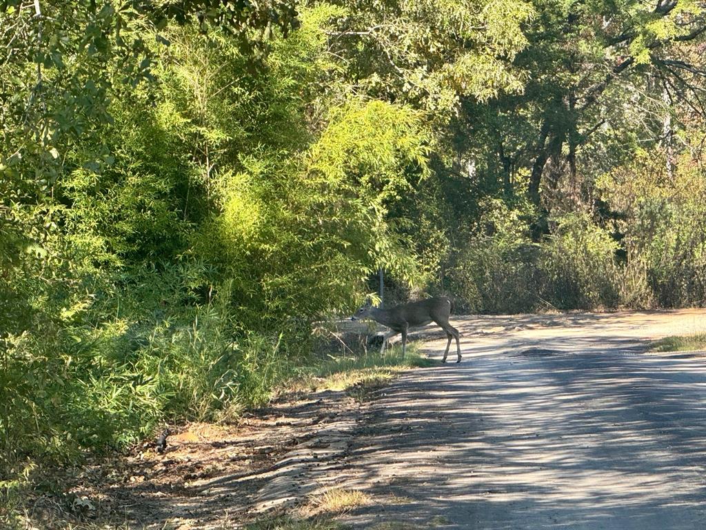 Thunderbird Poind - Residential