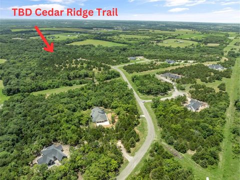 TBD Cedar Ridge Trail Van Alstyne TX 75495