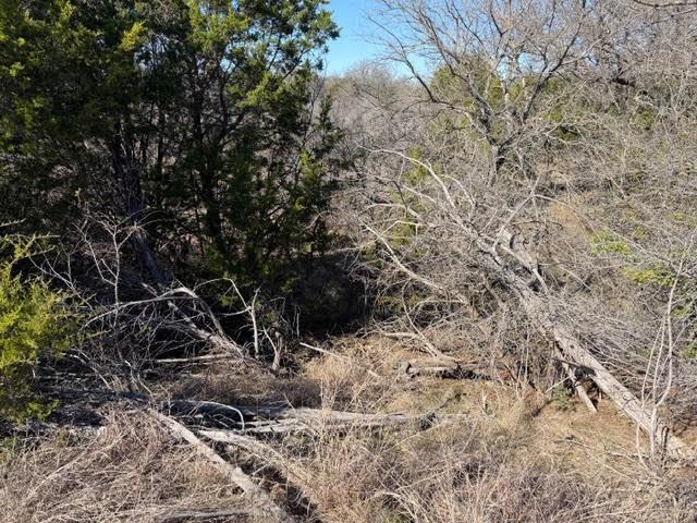 The Hills Above Possum Kingdom - Land