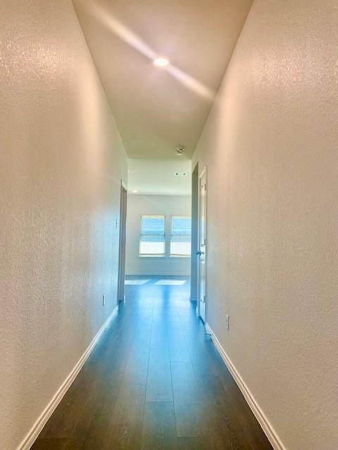 113 Alydar Lane