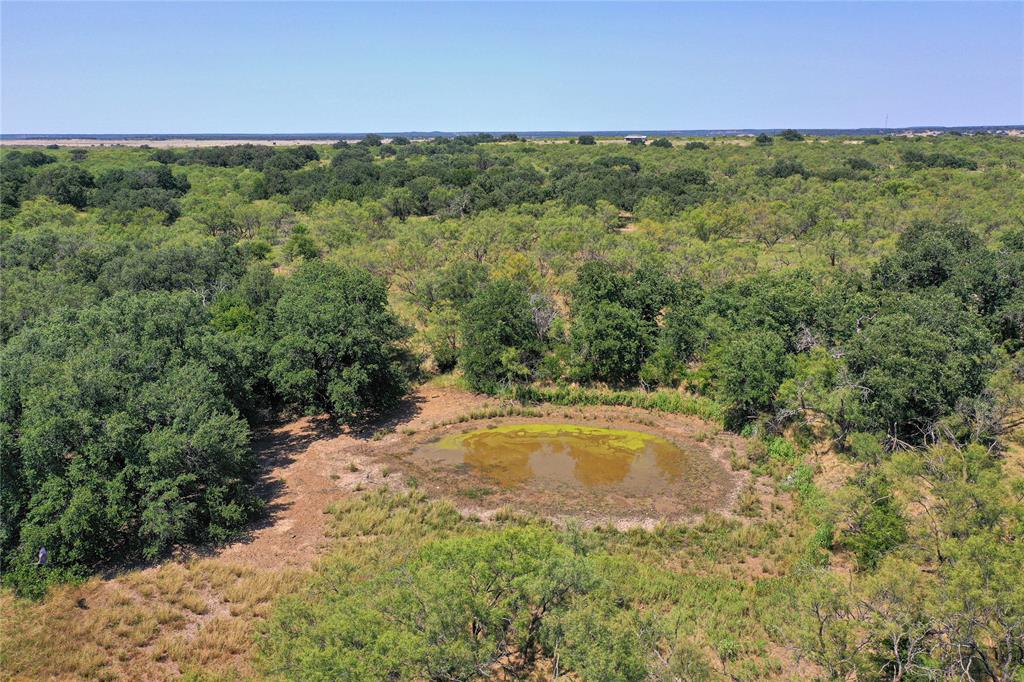 131.7 Acres Roney Road