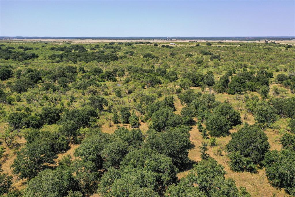 131.7 Acres Roney Road