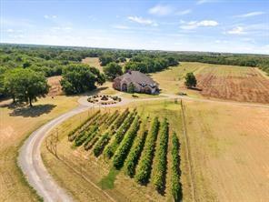 3399 PETERSON RD S, IOWA PARK, TX 76367 - Image 4c696ca3e470c2c367cd6fafec9f77c3/2449640389