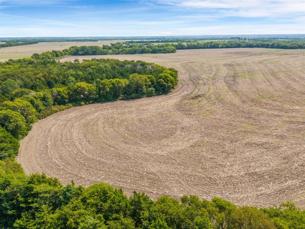 TREBINO IGNACIO - Land