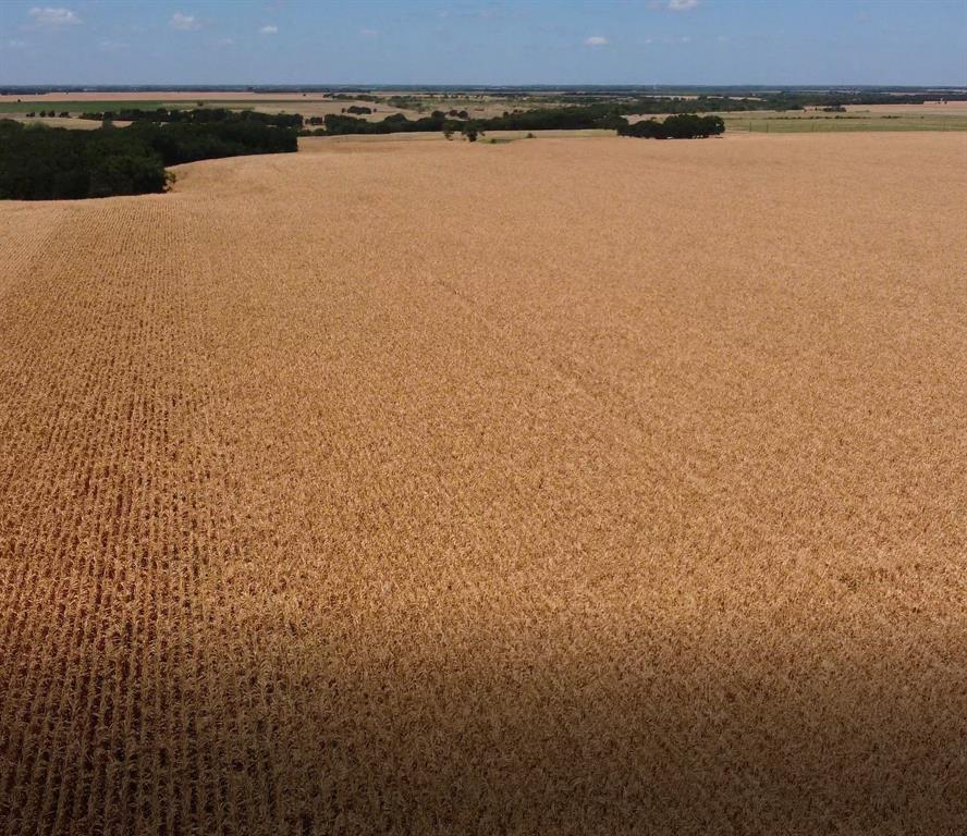 TBD 362 FM 667 Road