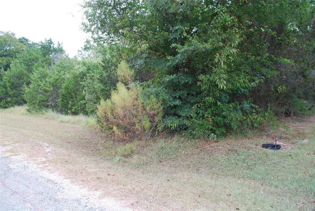 White Bluff #18 - Land