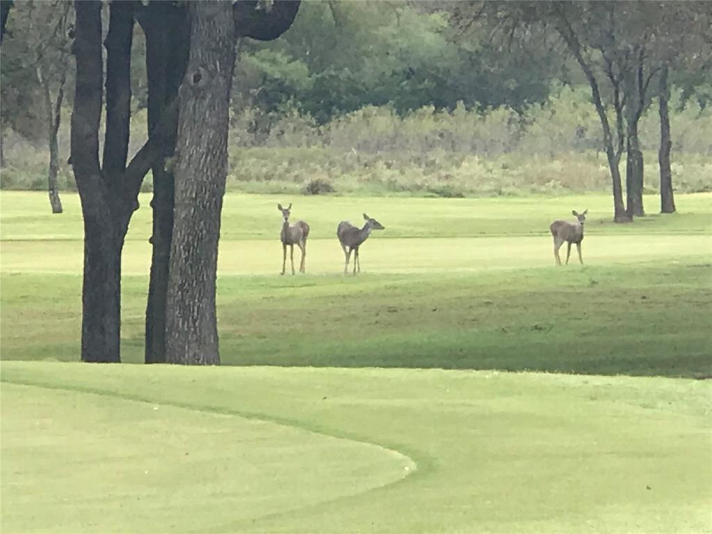 White Bluff #18 - Land