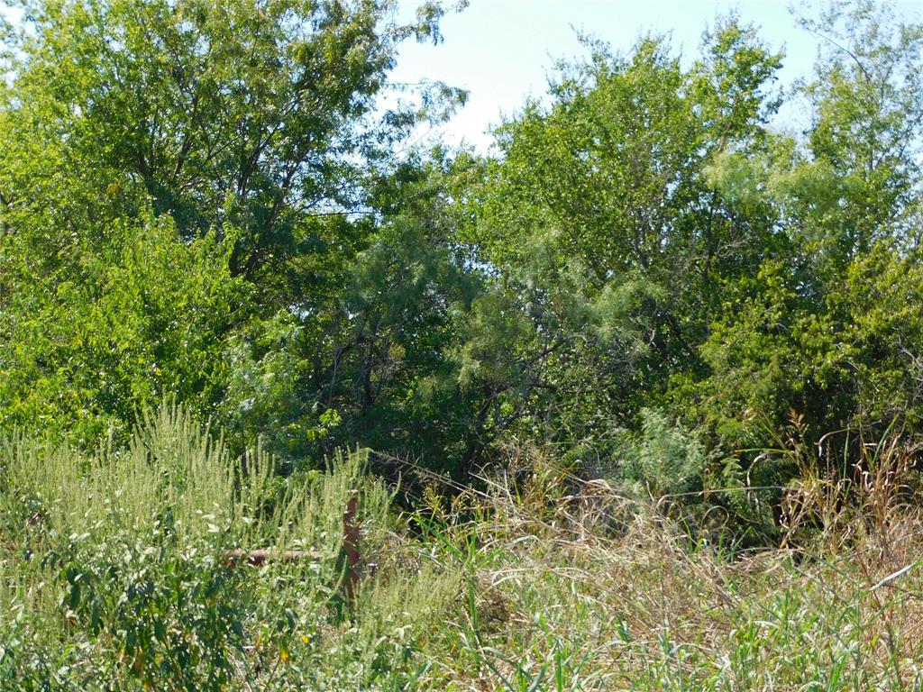 S Cook AB 157 ,S Cook AB125, J Lecompt Survey AB48 - Land