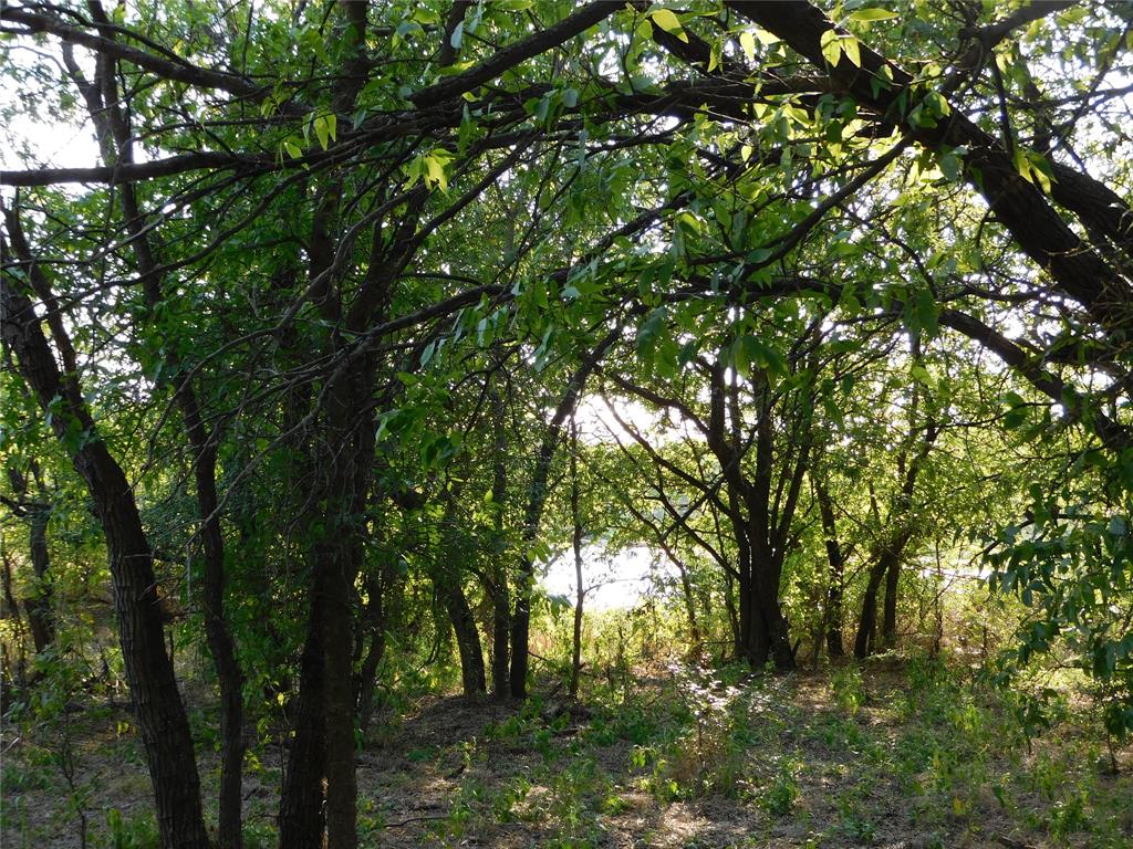 S Cook AB 157 ,S Cook AB125, J Lecompt Survey AB48 - Land