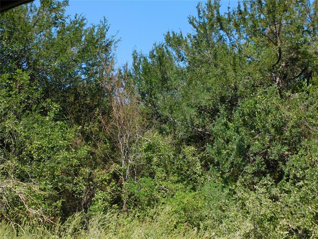 S Cook AB 157 ,S Cook AB125, J Lecompt Survey AB48 - Land