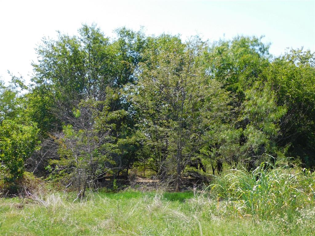 S Cook AB 157 ,S Cook AB125, J Lecompt Survey AB48 - Land