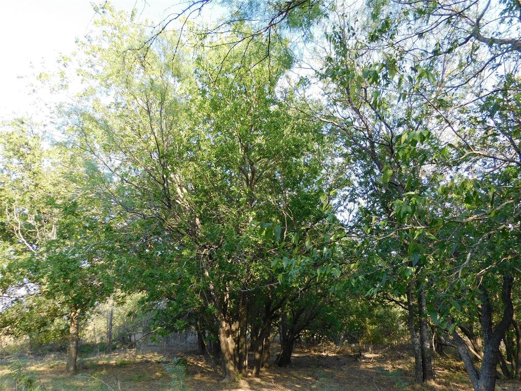 S Cook AB 157 ,S Cook AB125, J Lecompt Survey AB48 - Land