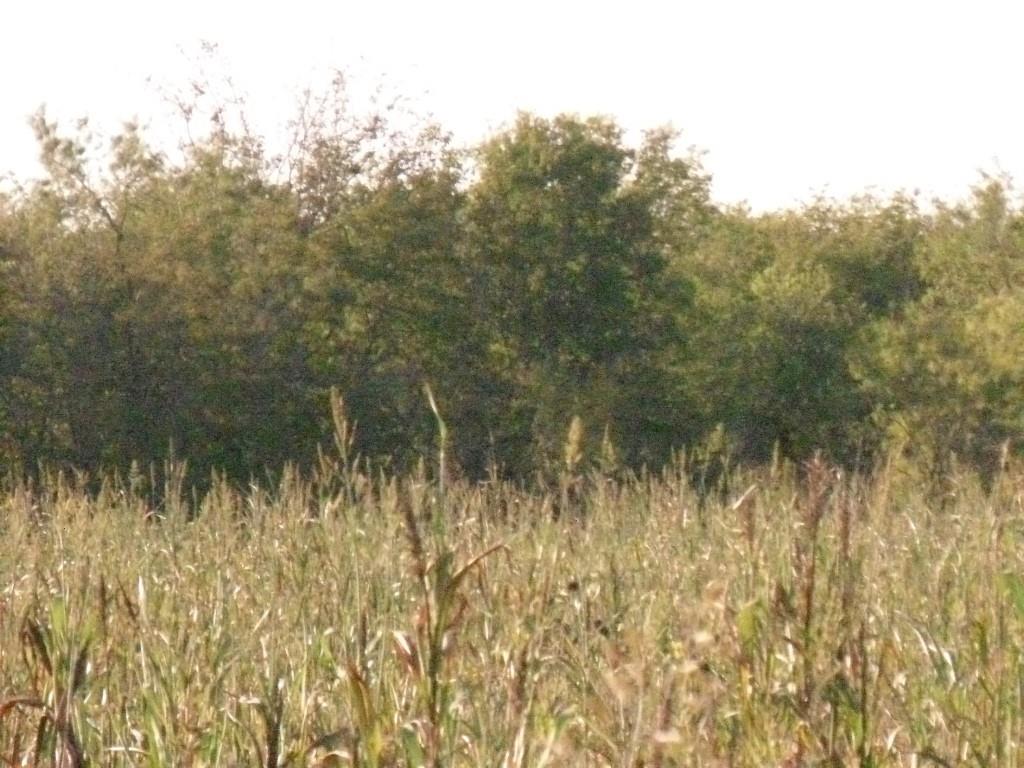 S Cook AB 157 ,S Cook AB125, J Lecompt Survey AB48 - Land