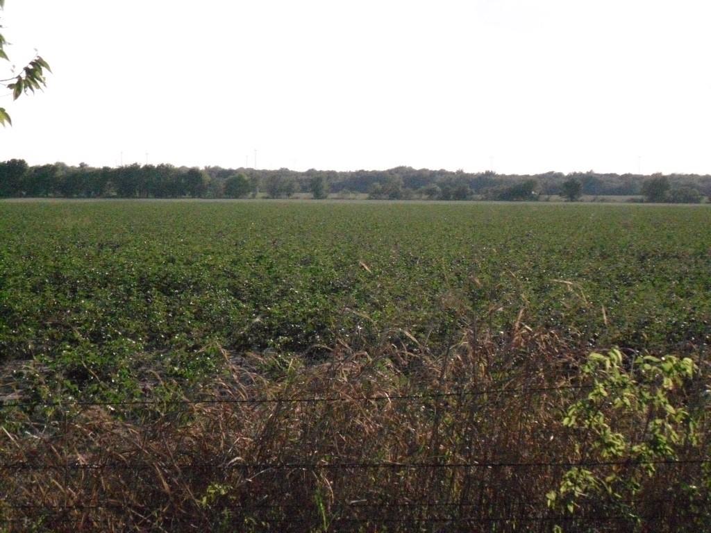 S Cook AB 157 ,S Cook AB125, J Lecompt Survey AB48 - Land